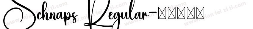 Schnaps Regular字体转换
